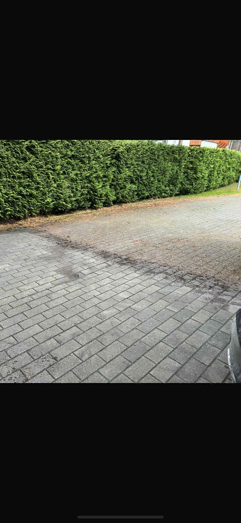 DIRTKILLER koristustöö — foto 1