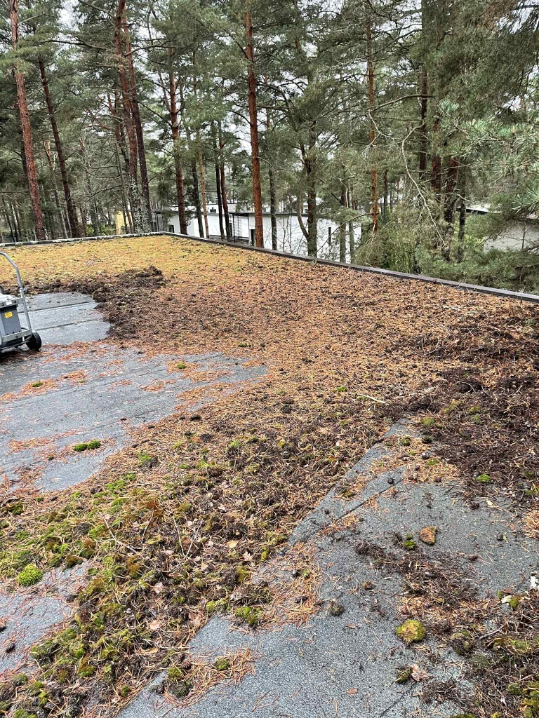 DIRTKILLER koristustöö — foto 2